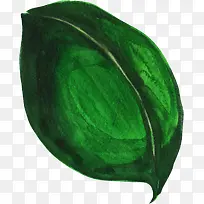 �ֻ���ɫ��Ҷˮ��-������