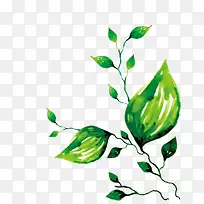 绿色水彩手绘树叶-空若网 绿色水彩手绘树叶-空若网