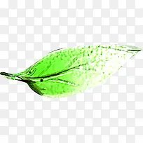 绿色创意树叶手绘-空若网 绿色创意树叶手绘-空若网