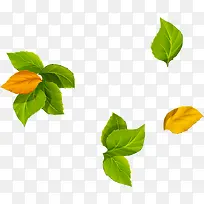 手绘黄绿色可爱树叶-空若网 手绘黄绿色可爱树叶-空若网