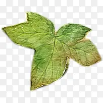 手绘绿色水彩树叶-空若网 手绘绿色水彩树叶-空若网