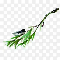 ÊÖ»æÂÌÉ«Ê÷Ò¶À¥³æ-¿ÕÈôÍø ÊÖ»æÂÌÉ«Ê÷Ò¶À¥³æ-¿ÕÈôÍø