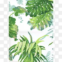 ÂÌÉ«Ê÷Ò¶Ë®²ÊÊÖ»æ-¿ÕÈôÍø ÂÌÉ«Ê÷Ò¶Ë®²ÊÊÖ»æ-¿ÕÈôÍø