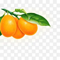 手绘绿色树叶水果-空若网 手绘绿色树叶水果-空若网