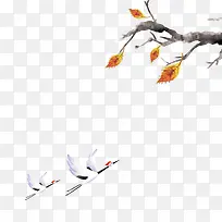 丹顶鹤-空若网 丹顶鹤-空若网