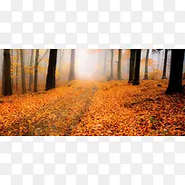 ÂäÒ¶ÉãÓ°±³¾°-¿ÕÈôÍø ÂäÒ¶ÉãÓ°±³¾°-¿ÕÈôÍø