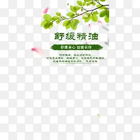 花瓣雨树叶-空若网 花瓣雨树叶-空若网