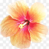 ��������ˮ�ʻ���-������