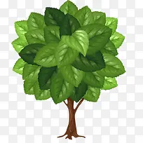 一棵树的叶子-空若网 一棵树的叶子-空若网