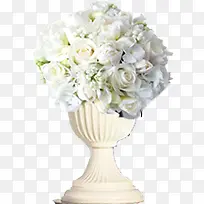 创意高清白色玫瑰花-空若网 创意高清白色玫瑰花-空若网