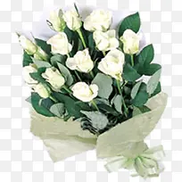 ������Ӱ��ɫõ�廨-������