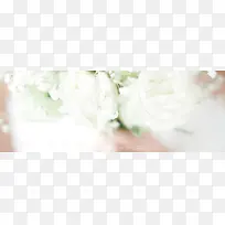 白色玫瑰版承接页-空若网 白色玫瑰版承接页-空若网