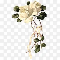 纯白色的玫瑰花-空若网 纯白色的玫瑰花-空若网