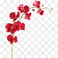 卡通手绘红色树叶-空若网 卡通手绘红色树叶-空若网