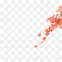 ��ɫ��֦��Ҷװ��-������