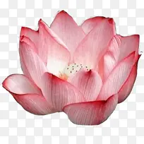 Ë®²ÊºÉ»¨¹Å·çËØ²Ä-¿ÕÈôÍø Ë®²ÊºÉ»¨¹Å·çËØ²Ä-¿ÕÈôÍø