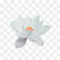 ˮ�������ŷ��ز�-������