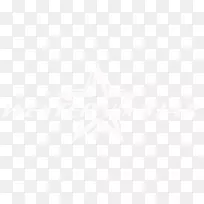 徽标白色-西部-空若网 徽标白色-西部-空若网