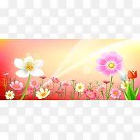 花朵素材背景-空若网 花朵素材背景-空若网