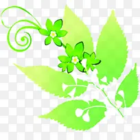 绿色时尚梦幻花朵花藤-空若网 绿色时尚梦幻花朵花藤-空若网