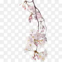 梦幻水彩花朵植物-空若网 梦幻水彩花朵植物-空若网