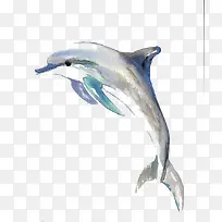 ˮ�ʺ���-������