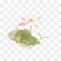 ˮ�ʺɻ�-������