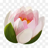 Ë®²ÊºÉ»¨-¿ÕÈôÍø Ë®²ÊºÉ»¨-¿ÕÈôÍø