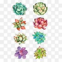 ˮ�ʺɻ�-������