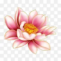 手绘荷花-空若网 手绘荷花-空若网