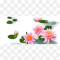 手绘荷花背景-空若网 手绘荷花背景-空若网