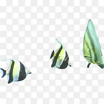 海底动物卡通时尚小鱼-空若网 海底动物卡通时尚小鱼-空若网