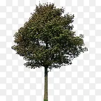 ��-������