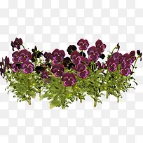 绿植花卉水彩花草素材-空若网 绿植花卉水彩花草素材-空若网