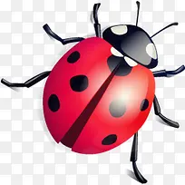 ư��-������