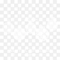 ʥ����װ��-������