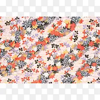 ���Ʊ�������-������