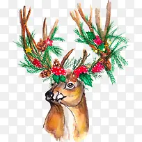 Ê¥µ®½Ú²Ê»æ÷ç¹-¿ÕÈôÍø Ê¥µ®½Ú²Ê»æ÷ç¹-¿ÕÈôÍø