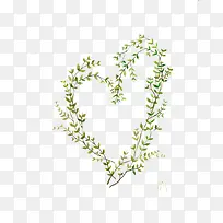 Ҷ�ӱ߿�-������