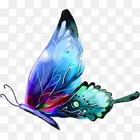 美丽翅膀的蝴蝶-空若网 美丽翅膀的蝴蝶-空若网