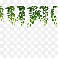 绿色春天绿叶树枝边框-空若网 绿色春天绿叶树枝边框-空若网