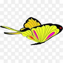 黄色时尚蝴蝶设计-空若网 黄色时尚蝴蝶设计-空若网