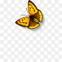 ��ɫ��ͨ�������ⴺ������-������