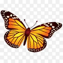 黄色可爱蝴蝶造型-空若网 黄色可爱蝴蝶造型-空若网