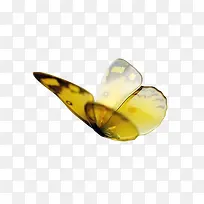 黄色浪漫蝴蝶翅膀-空若网 黄色浪漫蝴蝶翅膀-空若网