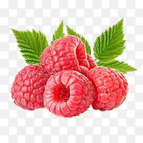 新鲜树莓水果素材-空若网 新鲜树莓水果素材-空若网