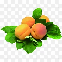 ��������ˮ������-������