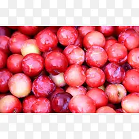 红色李子新鲜水果-空若网 红色李子新鲜水果-空若网