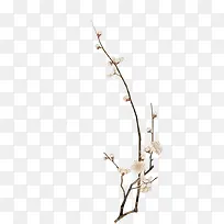 �ֻ��ɫ����÷��-������