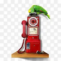 ��ɫ���ŵ绰-������